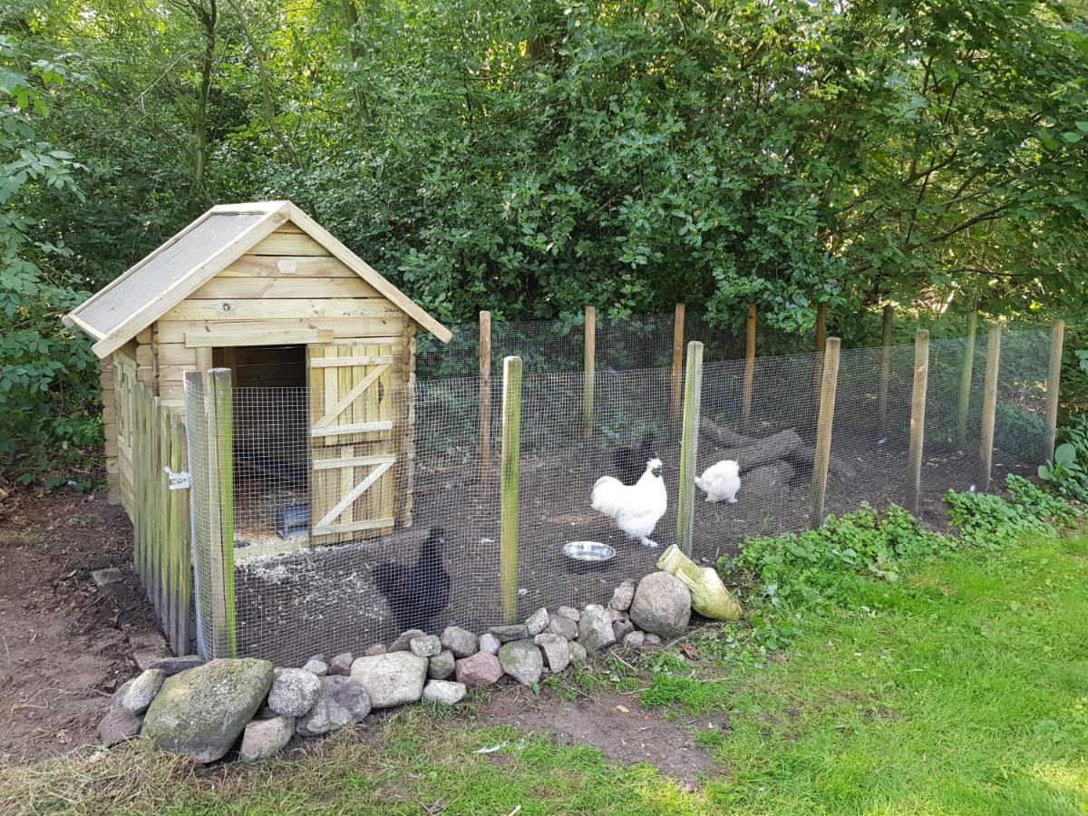 Bij Saar Bed & Breakfast Zwinderen Luaran gambar