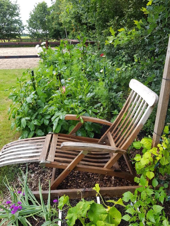 Bij Saar Bed & Breakfast Zwinderen Luaran gambar