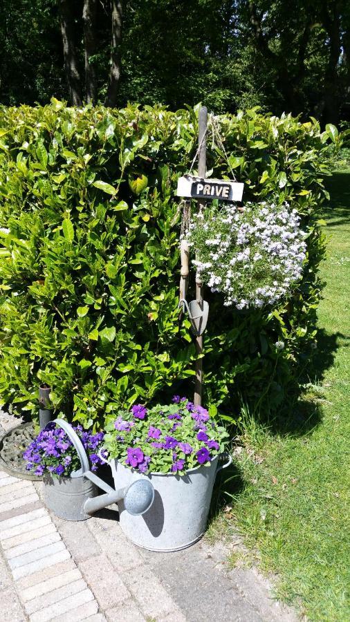 Bij Saar Bed & Breakfast Zwinderen Luaran gambar