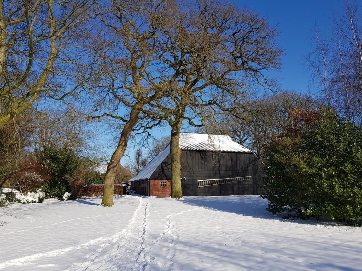 Bij Saar Bed & Breakfast Zwinderen Luaran gambar