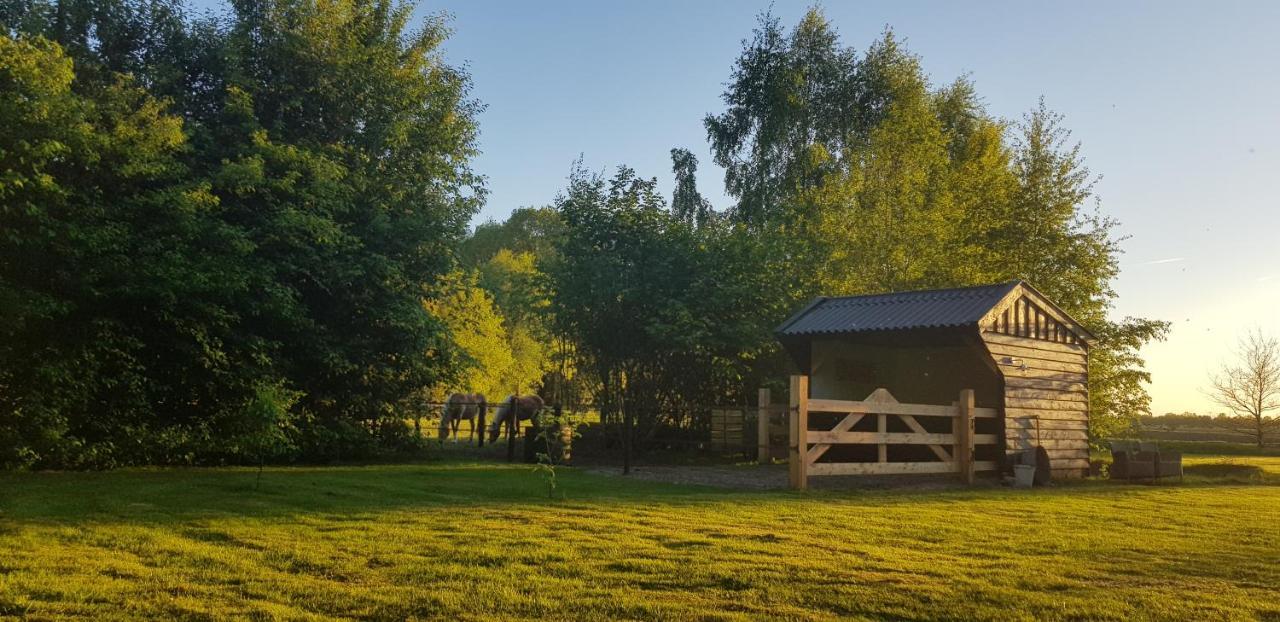 Bij Saar Bed & Breakfast Zwinderen Luaran gambar
