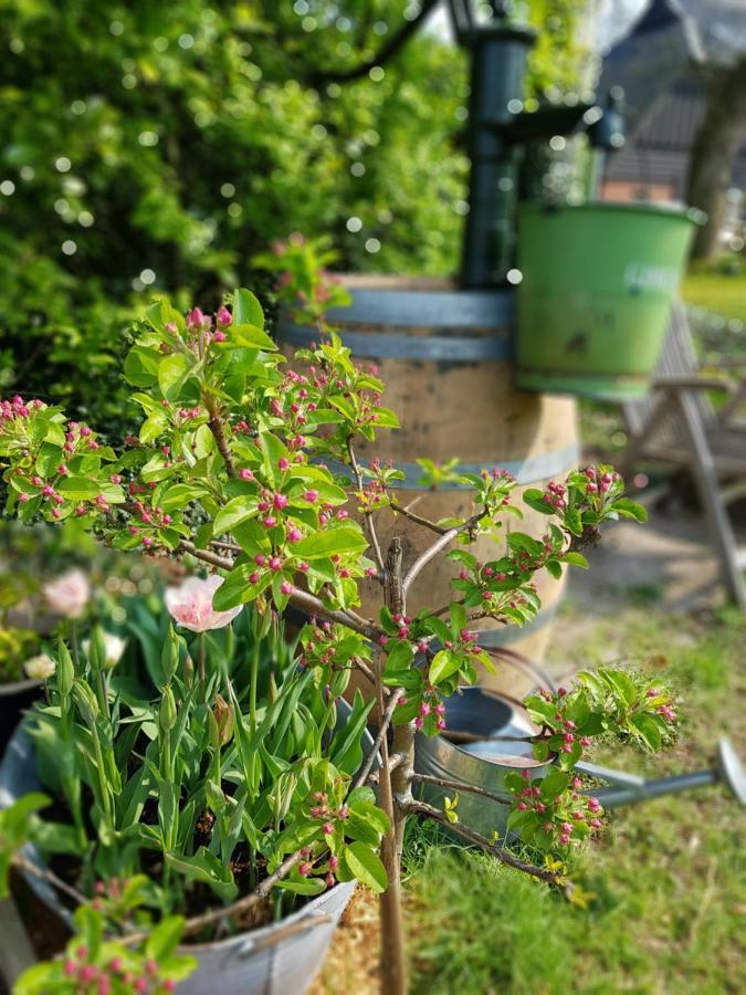 Bij Saar Bed & Breakfast Zwinderen Luaran gambar